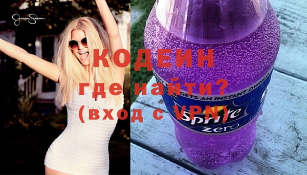 индика Арсеньев