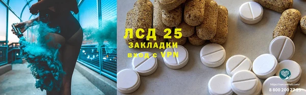индика Арсеньев