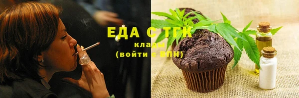 индика Арсеньев
