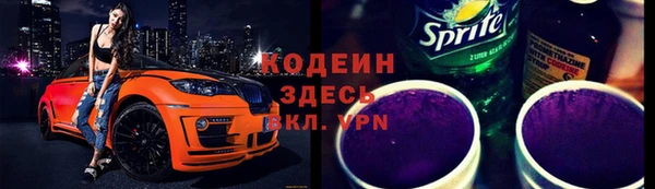 индика Арсеньев
