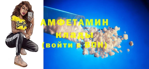 индика Арсеньев