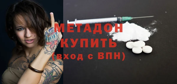 индика Арсеньев