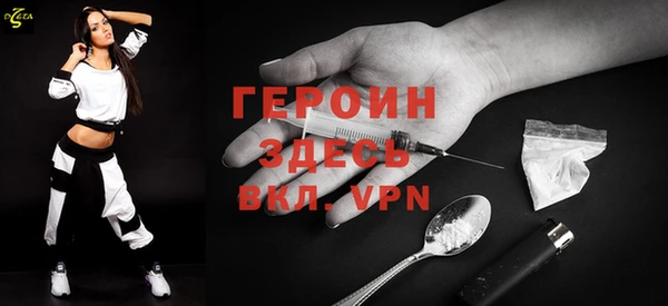 индика Арсеньев