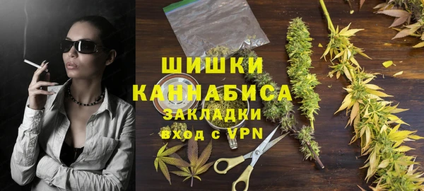 индика Арсеньев
