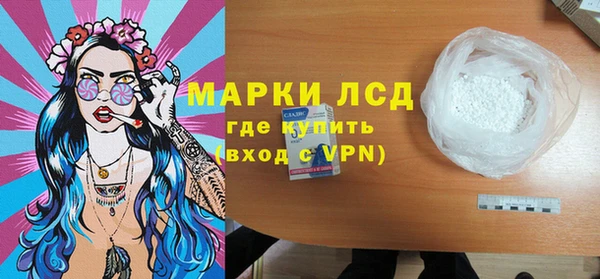 индика Арсеньев