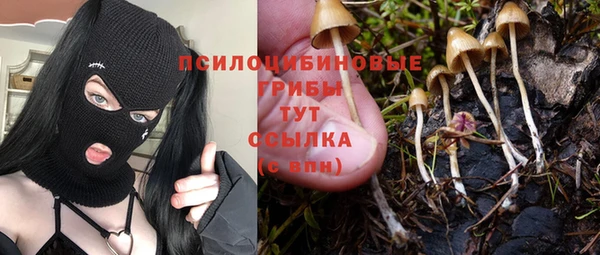 индика Арсеньев