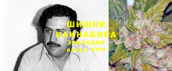 индика Арсеньев