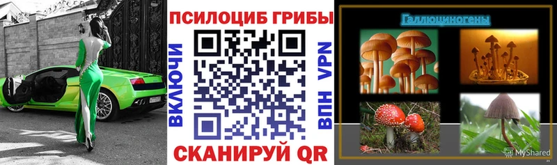 Псилоцибиновые грибы Psilocybe  Купить закладки  Печора 